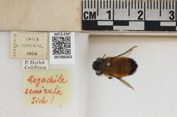 Media type: image;   Entomology 786063 Aspect: Labels